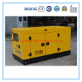 15kw Electric Power Yangdong Engine Diesel Generator Set Stamford Leroy Somer